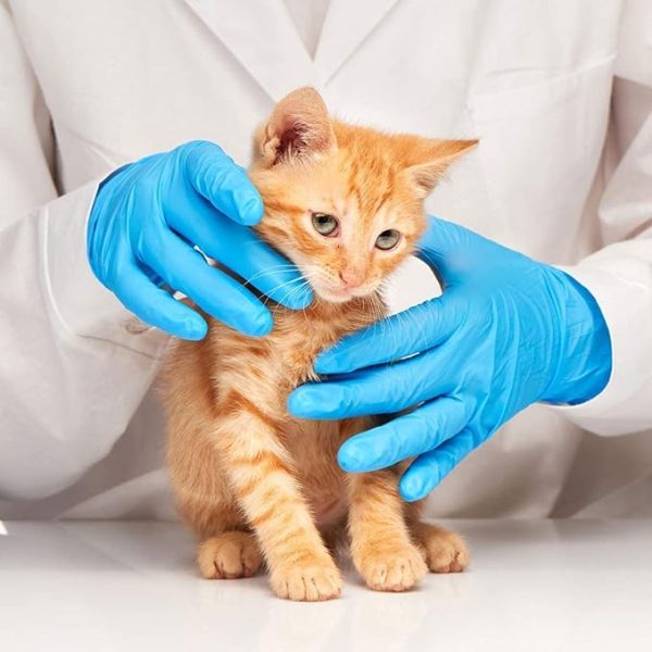 Basic Medical Clear Vinyl Exam Gloves - Latex-Free & Powder-Free - VGPF-3004 (Case of 1,000), Xtra Large - Image 9